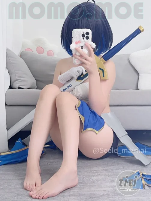 Seele麦麦 – NO.010 崩坏学园2 saber希儿 [41P-142MB]-丽丝屋