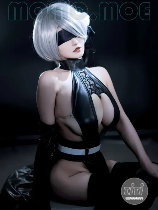 古阿扎 – NO.019 尼尔 寄叶2号B型 [53P-190M]-丽丝屋