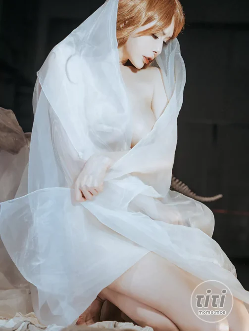 秋和柯基 – NO.105 纱 [66P-1.03GB]-丽丝屋