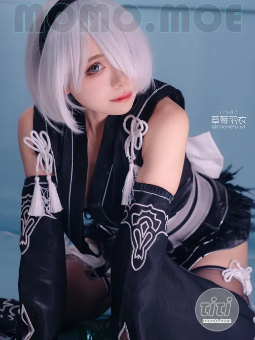 草莓羽衣 – NO.008 2B NierAutomata [33P-110MB]-丽丝屋