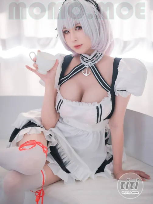 西园寺南歌 – NO.026 女仆本 天狼星 [35P-143M]-丽丝屋