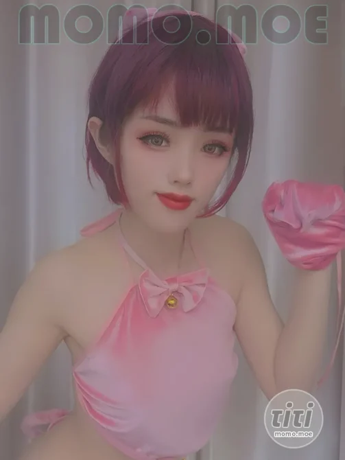 钛合金TiTi – NO.046 粉猪猪 [7P-12M]-丽丝屋