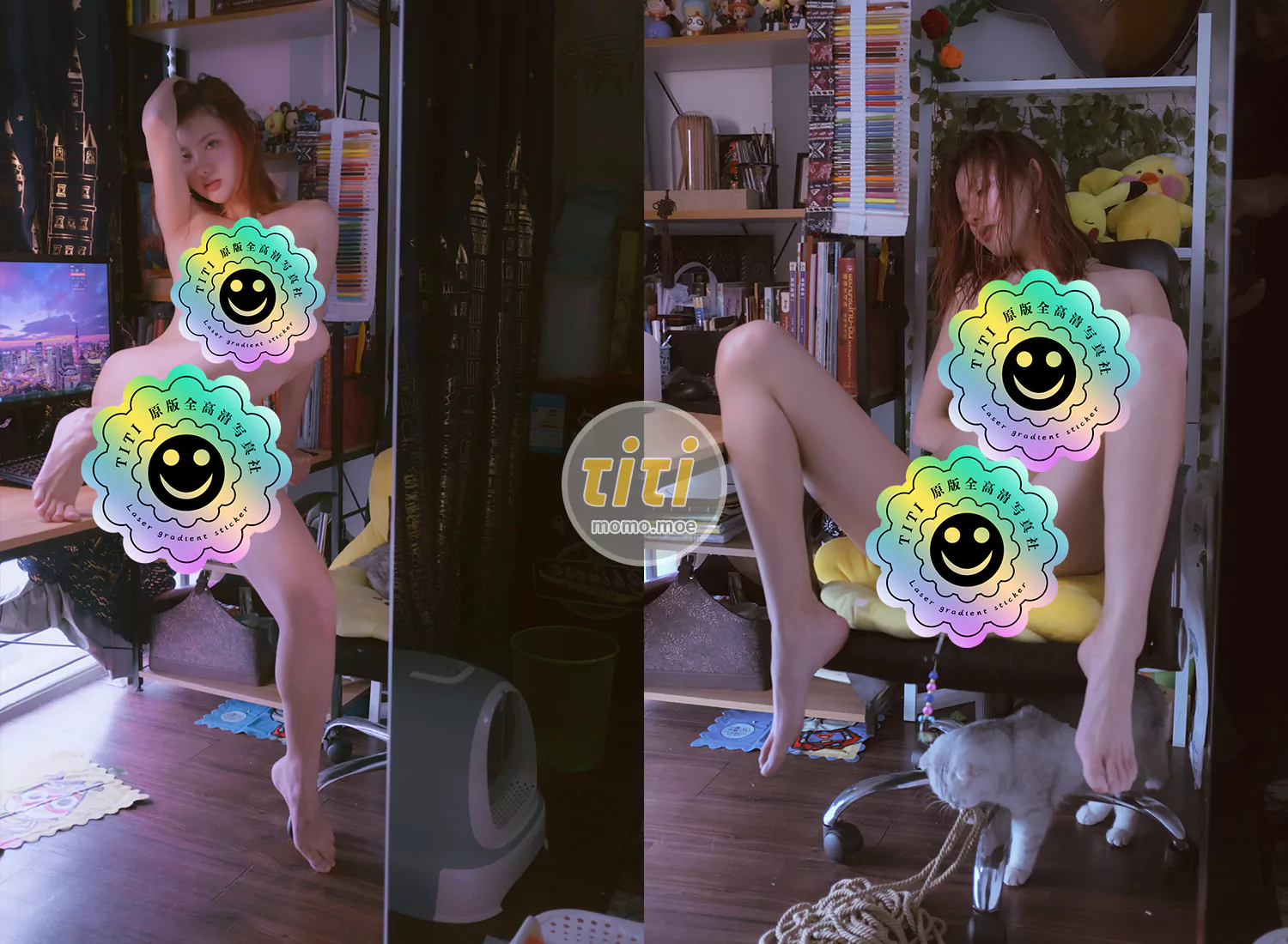 就是阿朱啊 - 逗猫棒