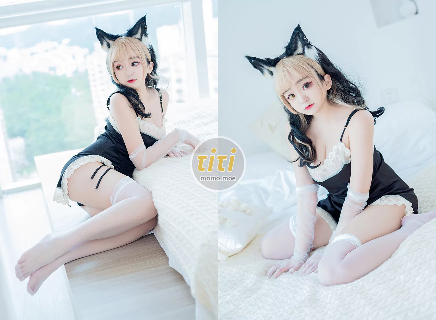 恩田直幸 - NO.33 森林猫猫